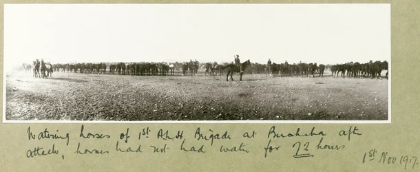 Pferde der 1. A.L.H. Brigade in Beersheba nach dem Angriff tränken, Pferde hatten 72 Stunden kein Wasser, 1. November 1917